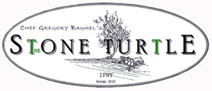 The Stone Turtle